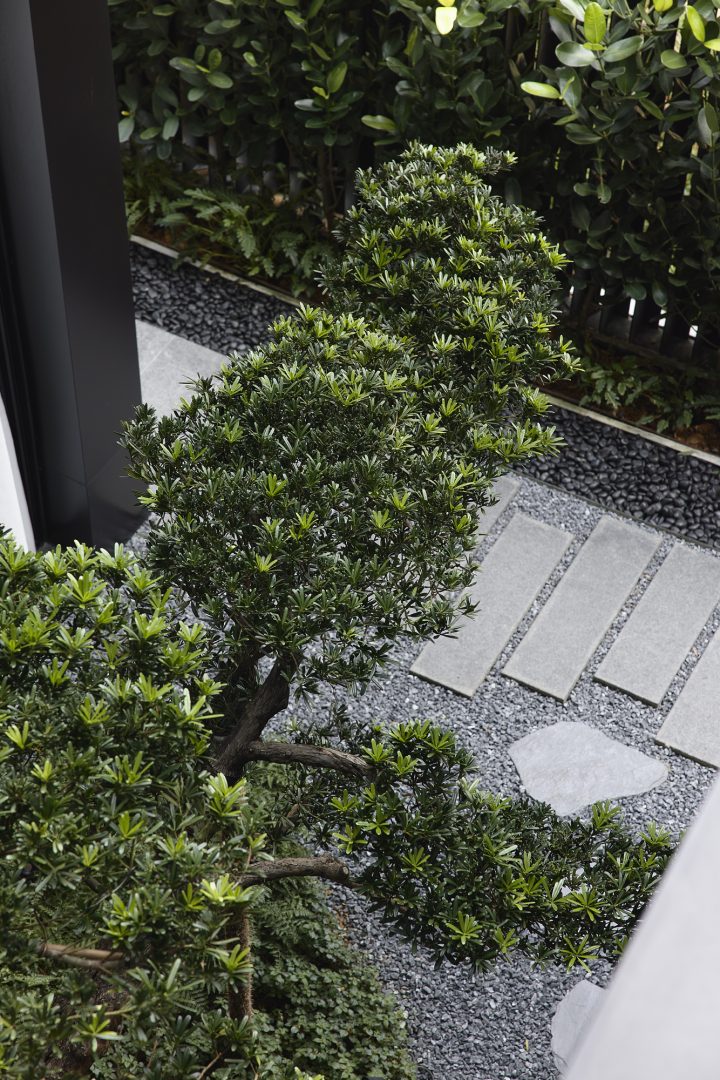 Villa-Noblesse.webp-1.6