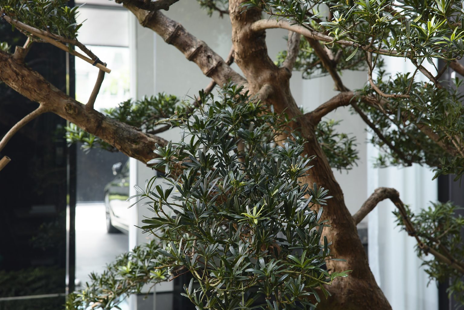 Villa-Noblesse.webp-2.3